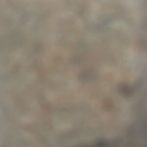 Meet your Posher, Dannette